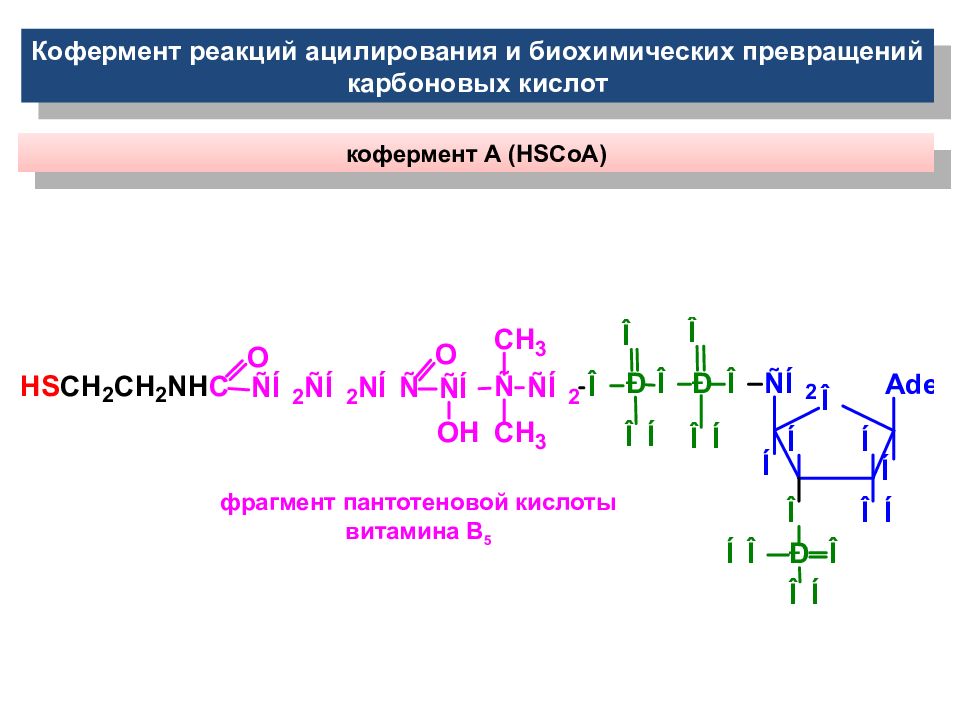 Липиды нуклеотиды. Кофермент ацилирования. Пантотеновая кислота кофермент. Пантотеновая кислота реакция с коферментом. Кофермент а строение.