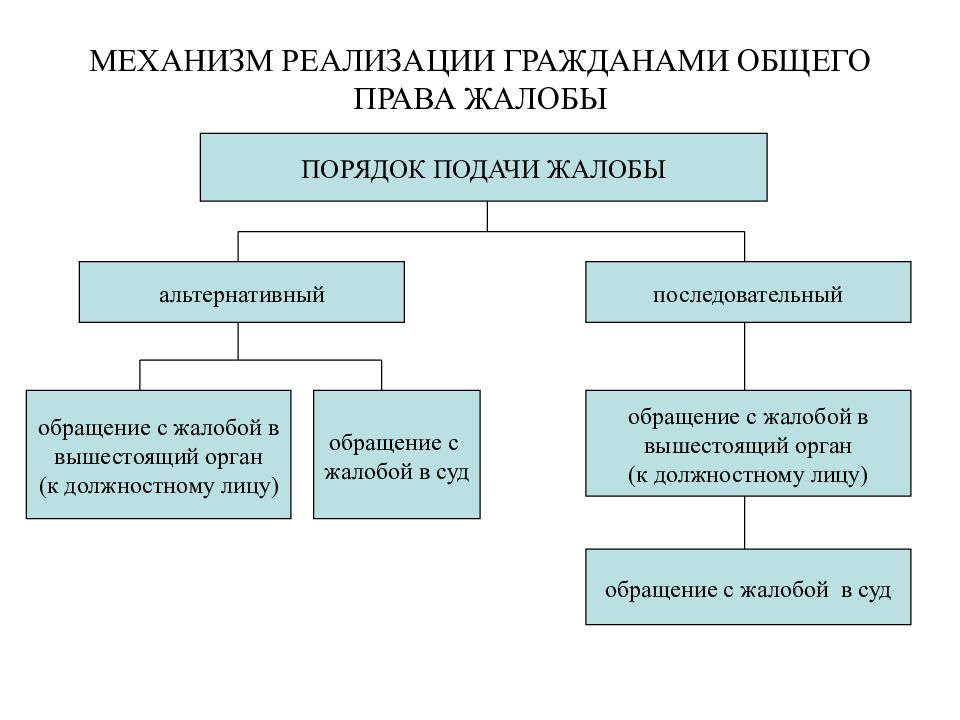 Обращения граждан в органы государственной власти презентация