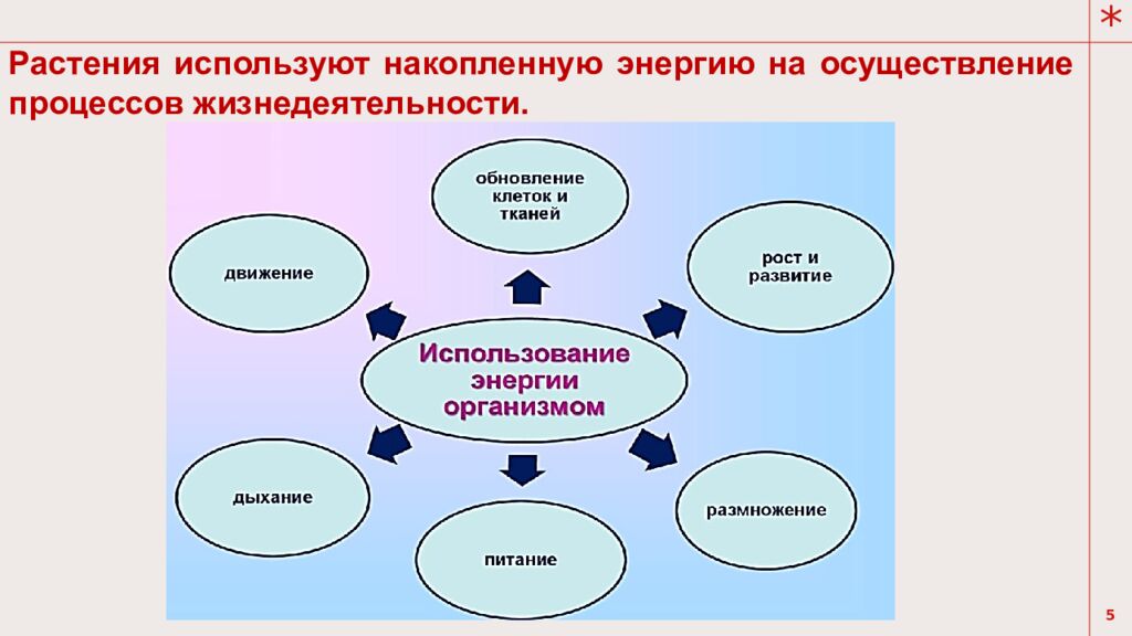 Тема урока: Обмен веществ у растений