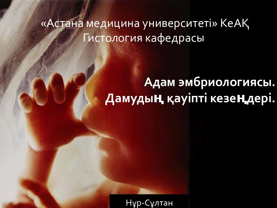 Адам эмбриологиясы. Дамудың қауіпті кезеңдері.