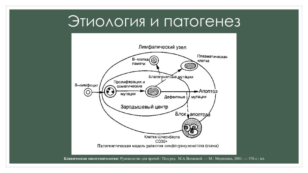 Этиология патогенез классификация и диагностика. Этиология и патогенез. Патогенез лимфогранулематоза схема. Лимфогранулематоз этиология патогенез. Этиология и патогенез боли.