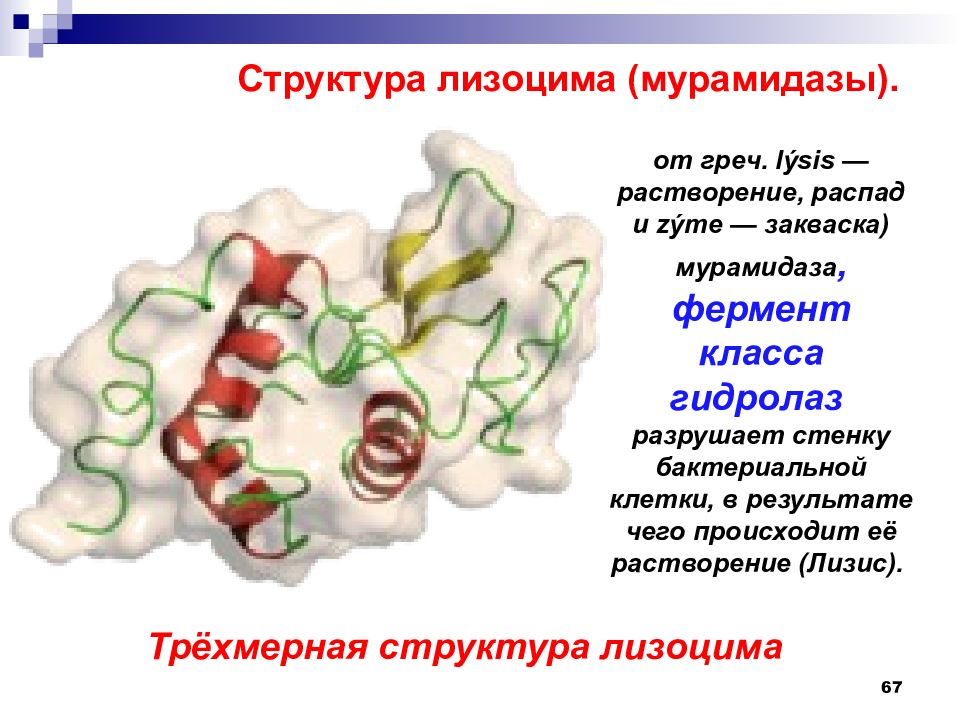 слюна ферменты слюны. выделяет вещество лизоцим. антилизоцимная активность микробиология. выделяет вещество лизоцим. выделяет вещество лизоцим.