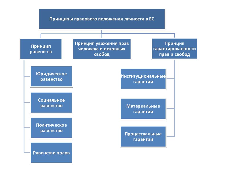 Европейские принципы. Принципы прав человека схема. Принципы правового статуса человека и гражданина в европейском Союзе. Принципы права европейского Союза. Принципы правового положения.
