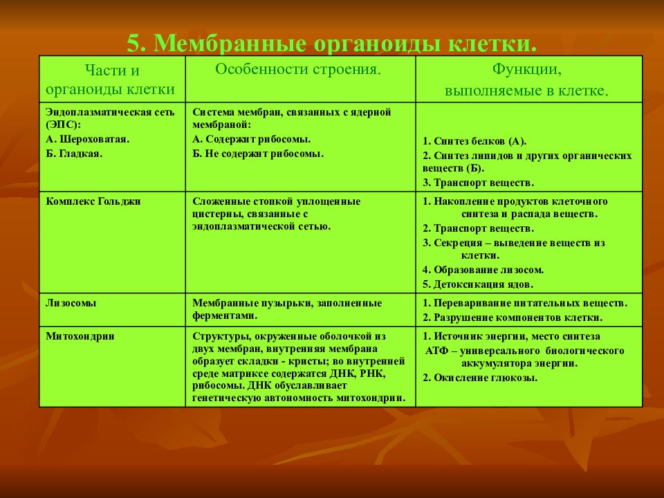 Перечислите 2 мембранные органоиды клетки