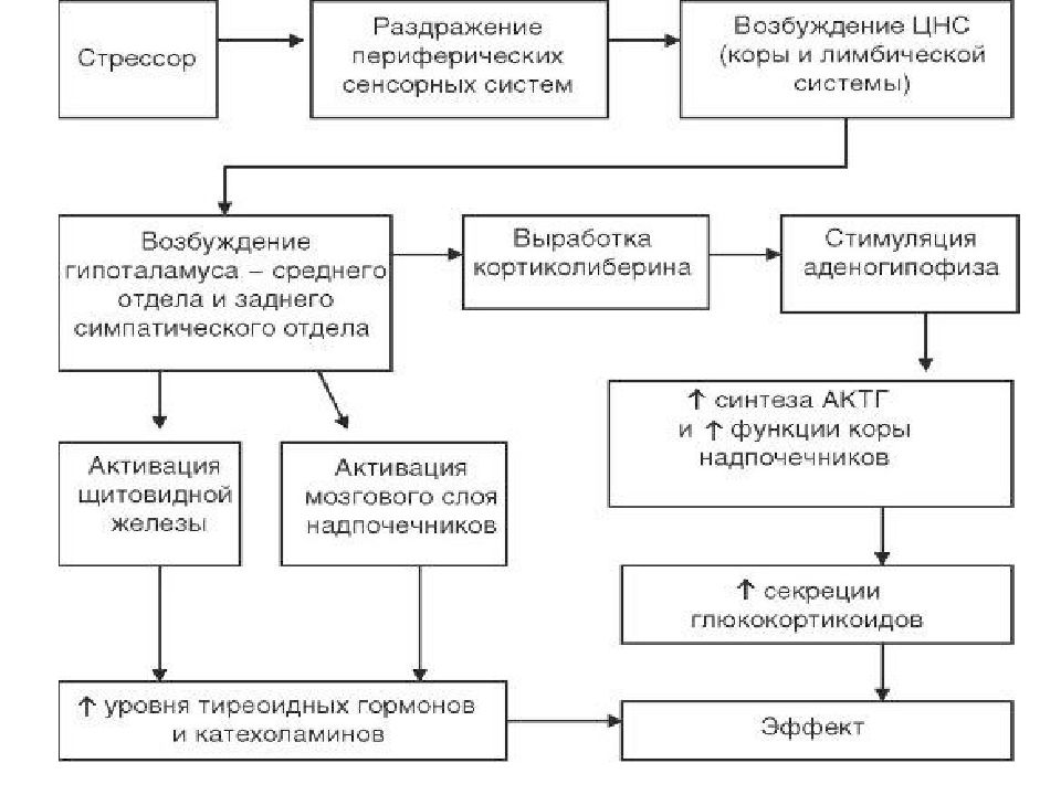 Рассмотрите схему защитной реакции организма человека дайте название этому явлению