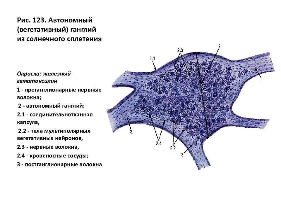 Маршрутный автобус. Авт 123. Улицы в районе метро ладожская. Расписание автобуса 123 омск лузино. Авт 123.