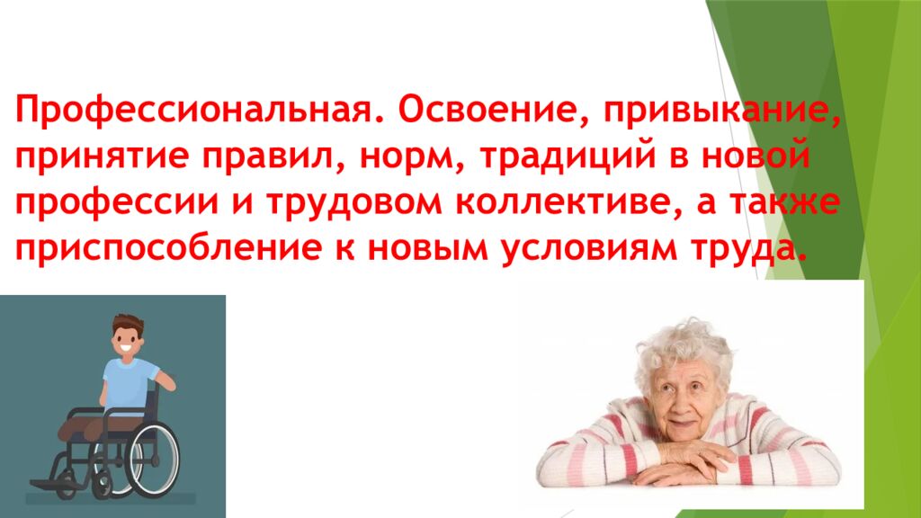 Виды и уровни социальной адаптации