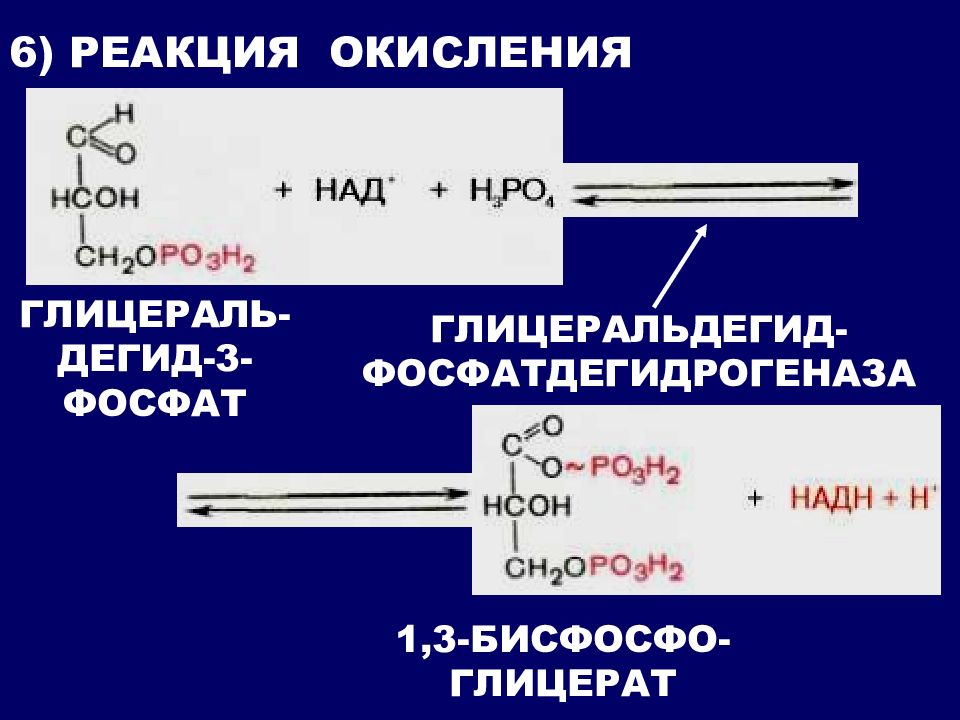 Реакция 6. Глицеральдегид-3-фосфатдегидрогеназа реакция. Глицеральдегид-3-фосфат в 1.3-дифосфоглицерат. Глицеральдегид 3 фосфат гликолиз. 1 3 Бисфосфоглицерат глицеральдегид фосфат.