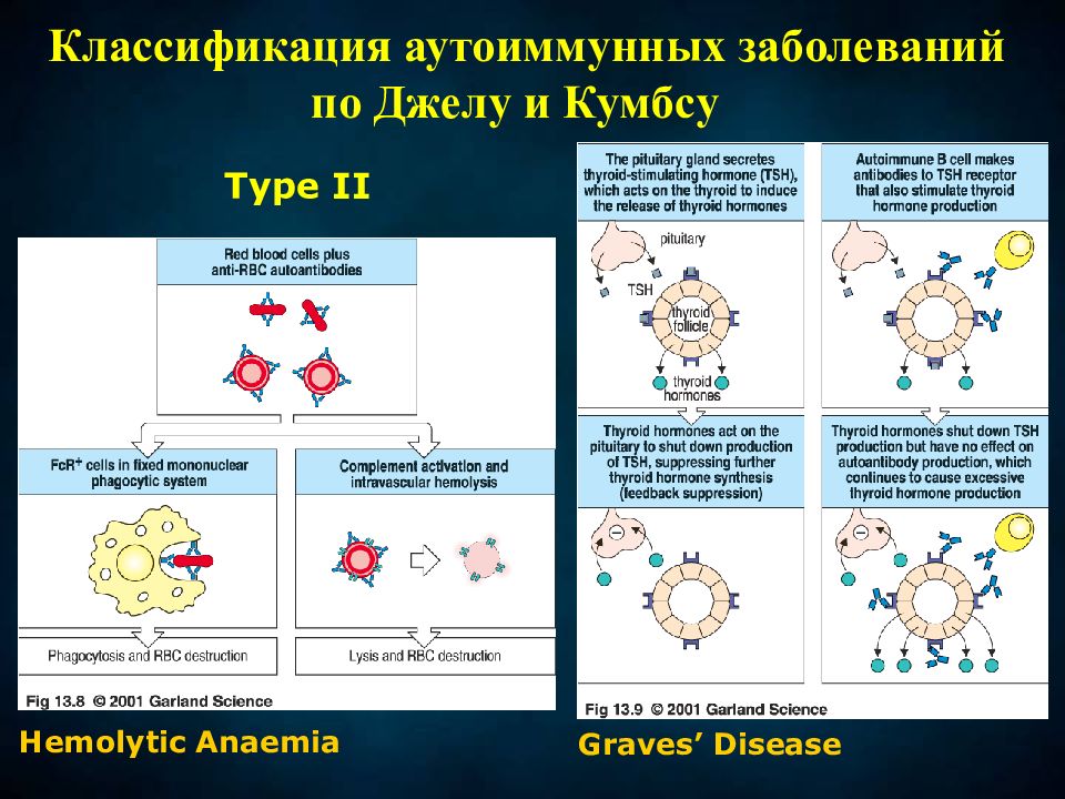 Презентация на тему аутоиммунные заболевания