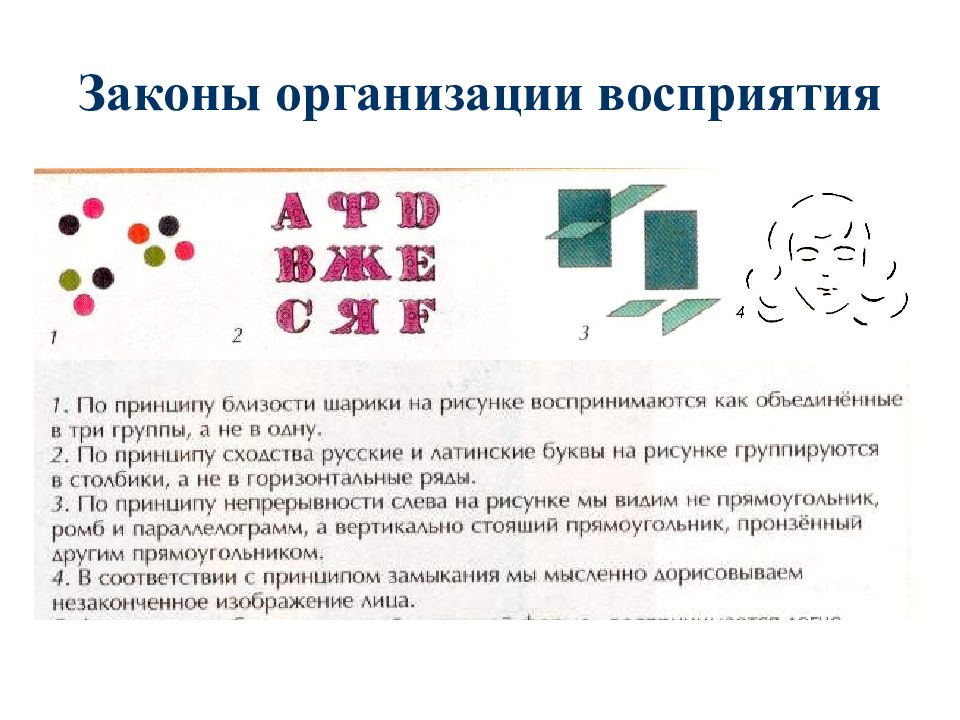 Восприятие организации. Законы организации восприятия. Закон сходства восприятия. Восприятие законы перцептивной организации.. Законы восприятия закон сходства.