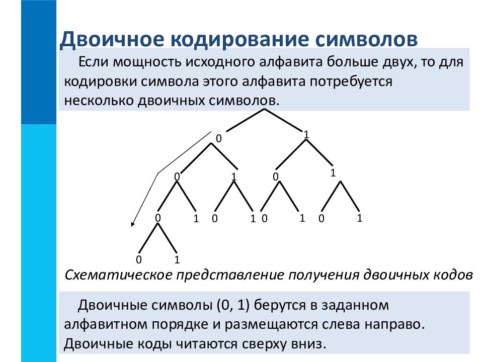 Двоичное представление кода. Пятиразрядное двоичное кодирование. Схематическое представление двоичных кодов. Кодирование бинарных деревьев. Схематическое представление получения двоичных.