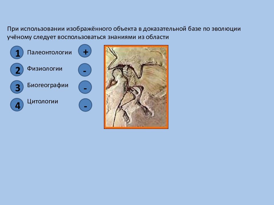 Изображать использовать. ФИПИ задания на эволюцию с ответами. Используйте изображено. Физиология цитология палеонтология.