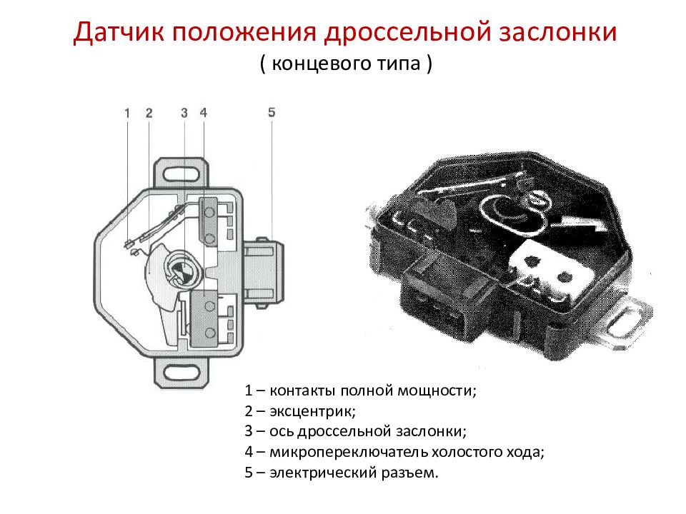 Положение дроссельной заслонки. Датчик заслонки дроссельной sxema. Схема подключения датчика положения дроссельной заслонки. Датчик положения дроссельной заслонки схема. 406113000001 Датчик положения дроссельной заслонки схема подключения.