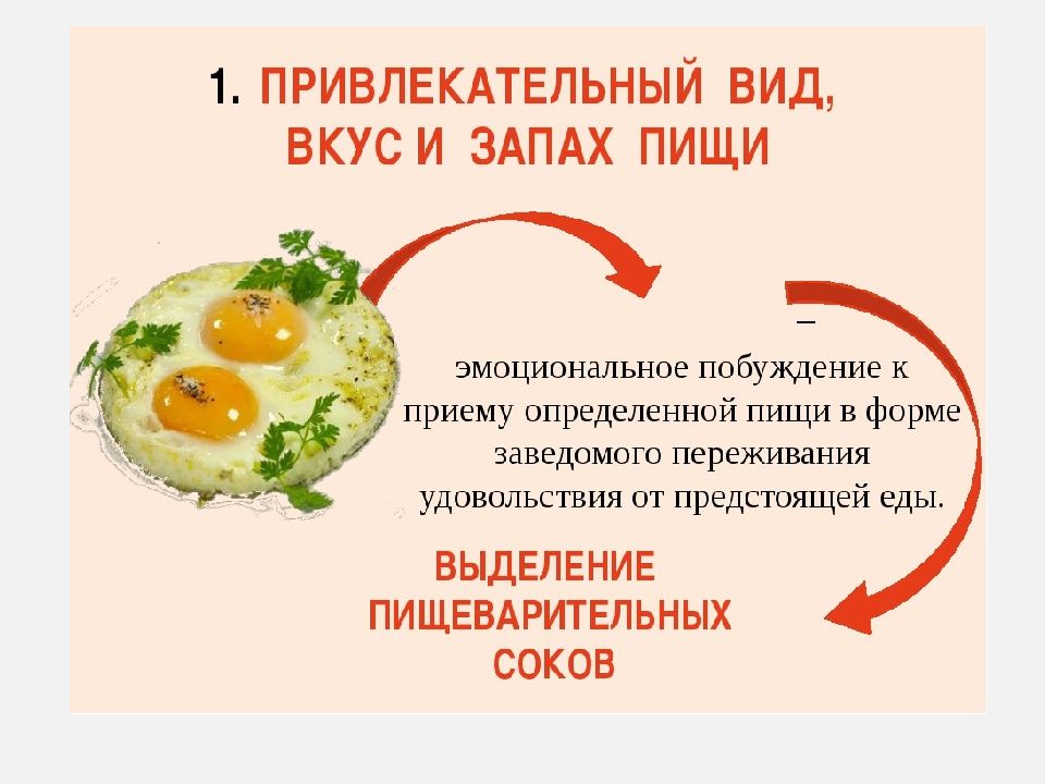 Презентация по технологии кулинария 6 класс