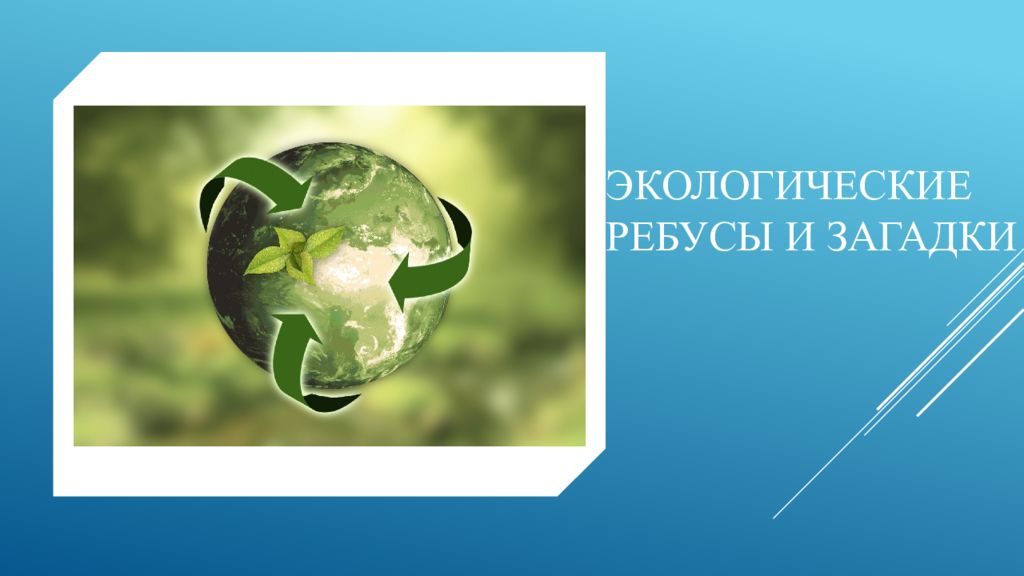 Экологические ребусы и загадки