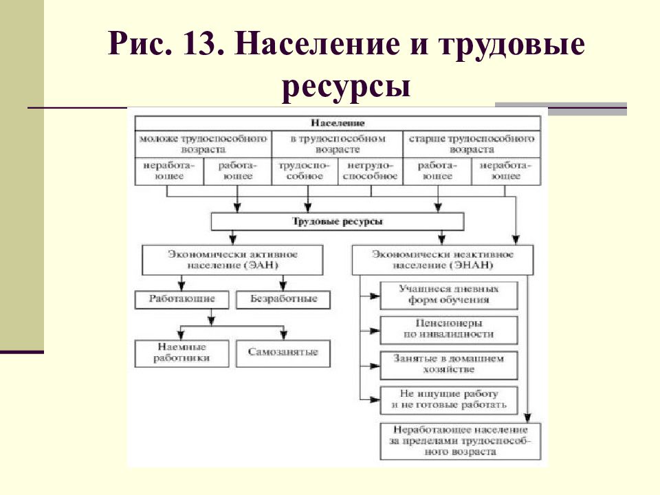 Население и трудовые ресурсы. Население и трудовые ресурсы России. Население и трудовые ресурсы схема. Население и трудовые ресурсы центрального экономического района.