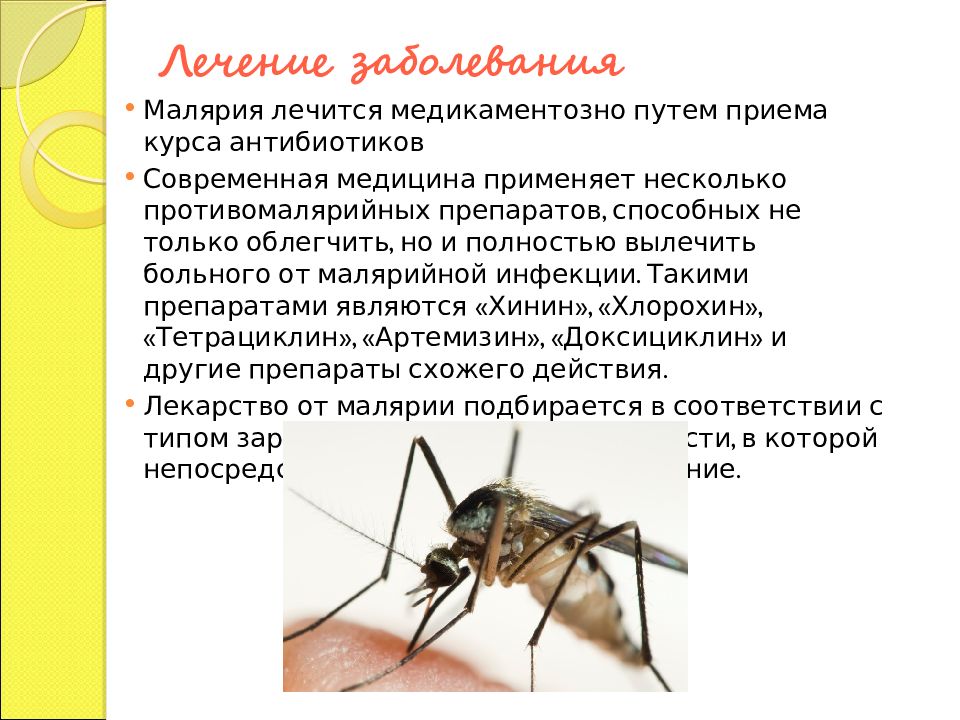 Характерный признак малярии