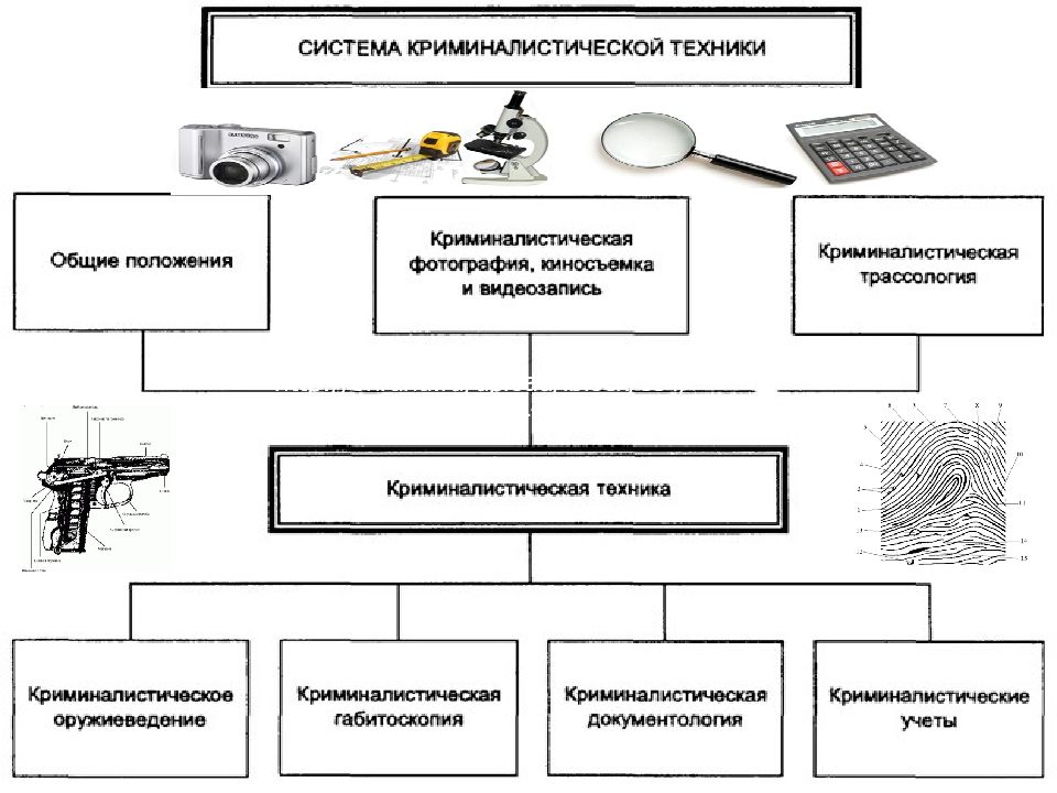 Задачи криминалистики схема