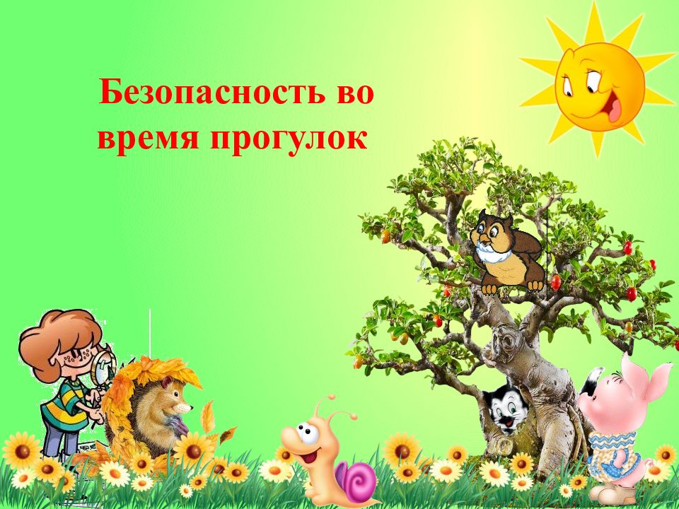 Безопасность во время прогулок