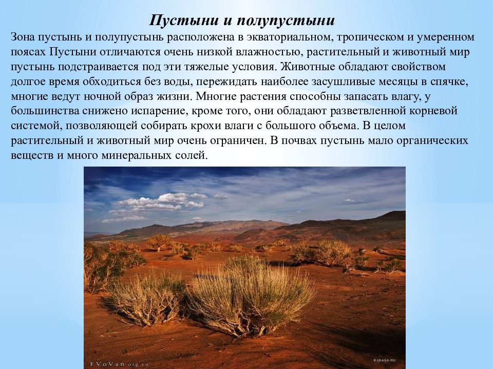 Особенности природной зоны полупустыни. Климат пояс пустыни и полупустыни России. Климатические условия пустыни и полупустыни в России. Пустыни полупустыни Южной Америки растительный мир мир. Полупустыни и пустыни растительность и животный мир.