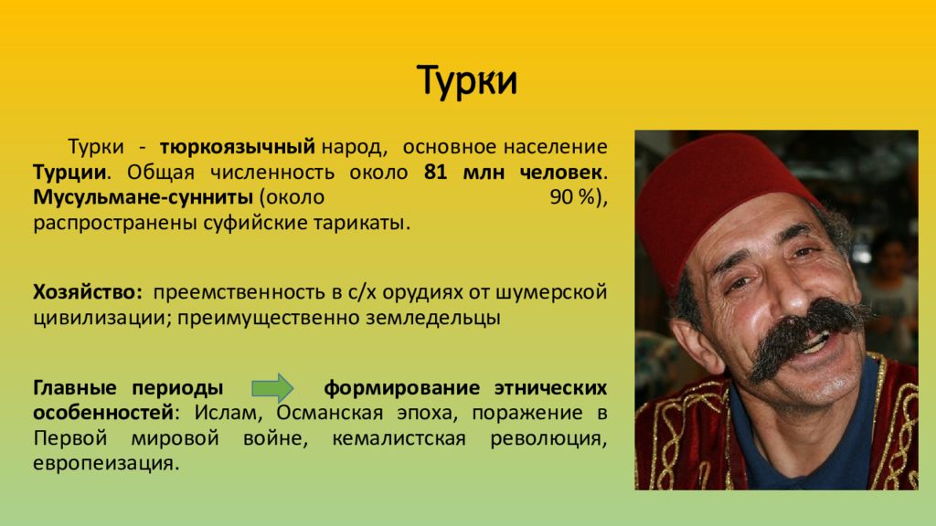 Численность населения турции. Турки презентация. Турки народ презентация. Этнические особенности турков. Структура населения Турции.