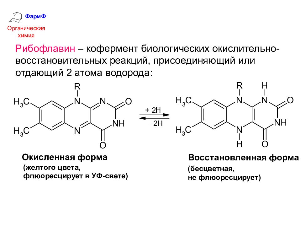 Органическая химия реутова. Коферментная формула рибофлавина. Витамин в2 кофермент ФАД. Рибофлавин кофермент. Витамин в2 химическая структура.