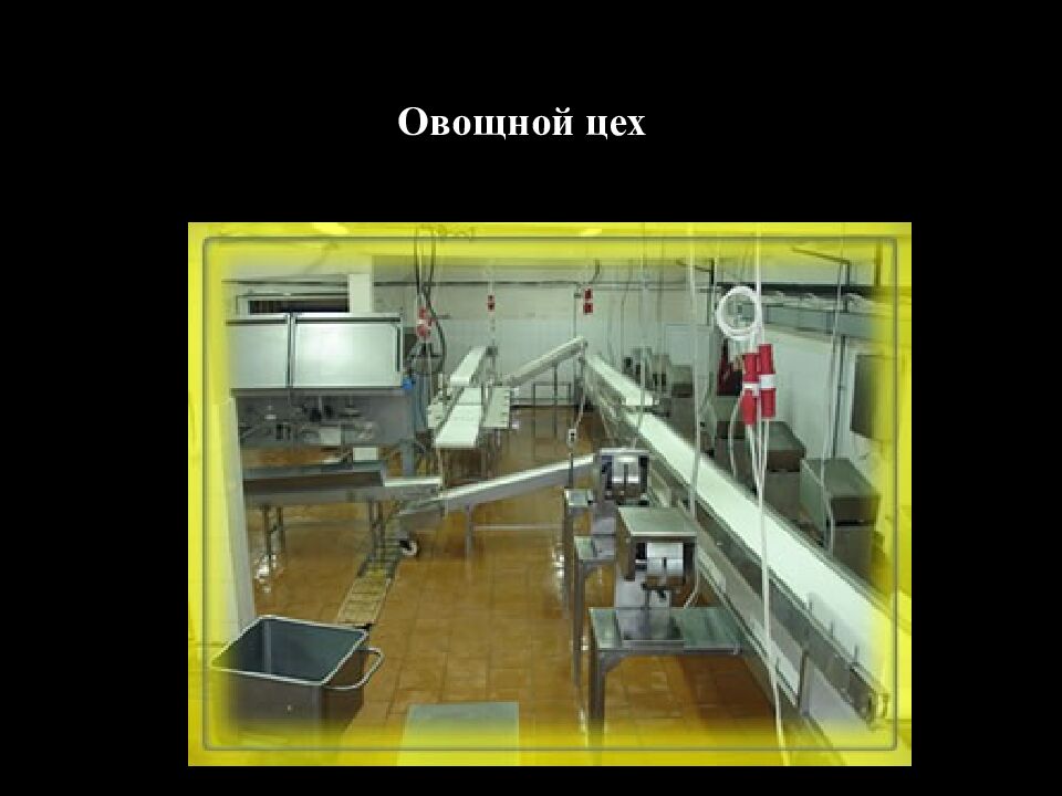 Овощной цех