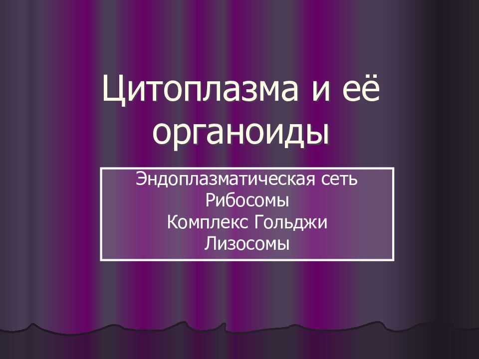 Цитоплазма и её органоиды