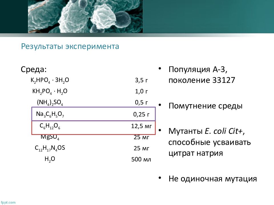 Генетика микроорганизмов презентация