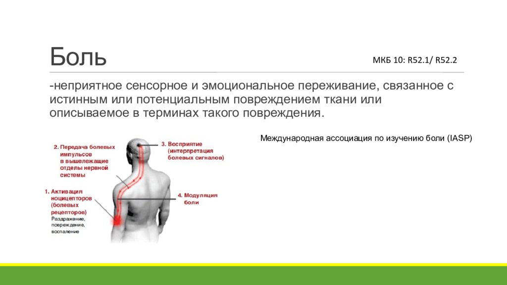 Исследование боли. Передача болевых сигналов. Модуляция боли. Боль АСП сервиса.