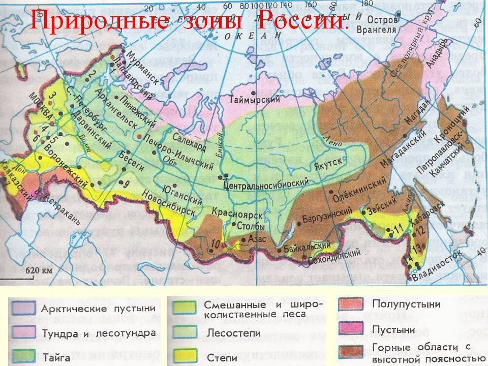 Природные зоны россии 4 класс окружающий мир презентация