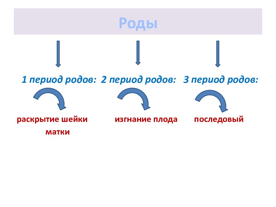 Сколькими род. Раскрытие изгнание Последовый. Скорость раскрытия шейки матки в 1 периоде родов. Третьи роды раскрытие 1 палец.