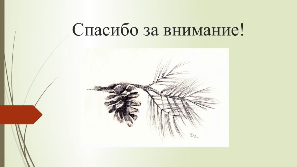 Изображение ветки с характером урок рисования 2 класс презентация