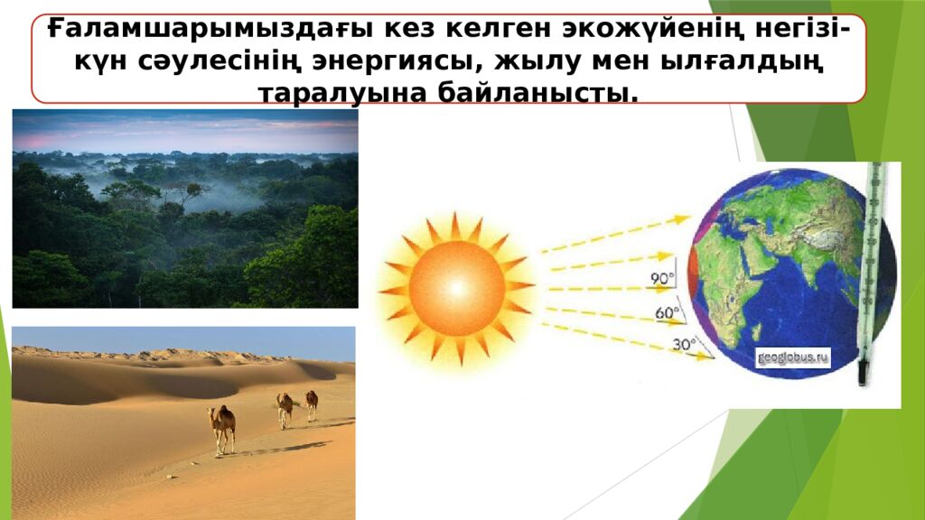 Сабақтың тақырыбы: Экожүйелер Мақсаты: 5.6.1.1 – экожүйенің құрамдас бөліктерін