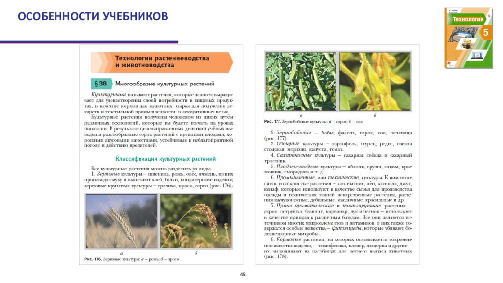 Системы технологии учебник. Особенности учебника технологии. Технология растениеводства учебник. Особенность учебника инструкция и вопросы.