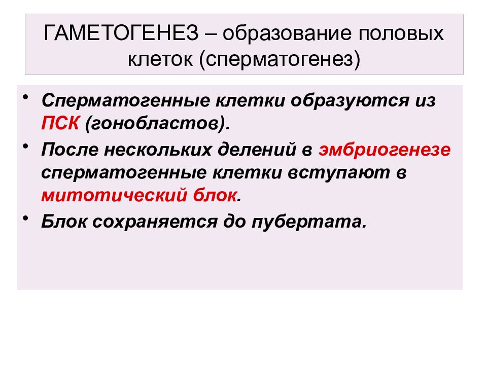 Диапазон это совокупность клеток образующих. Сперматогенные клетки. Сперматогенные. Для гонобластов человека характерно. Развитие первичных половых клеток - гонобластов в эмбриогенезе идет.