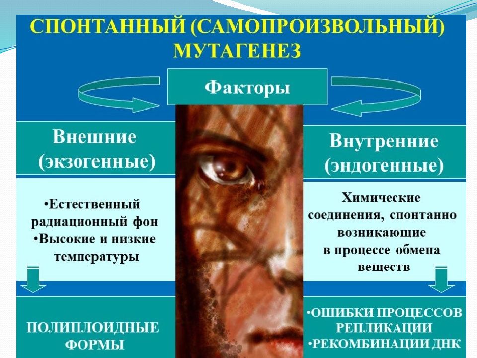 метод селекции искусственный мутагенез. мутагенез введение. стресс-индуцированного мутагенеза. искусственный (индуцированный) мутагенез. индуцированные мутации примеры.