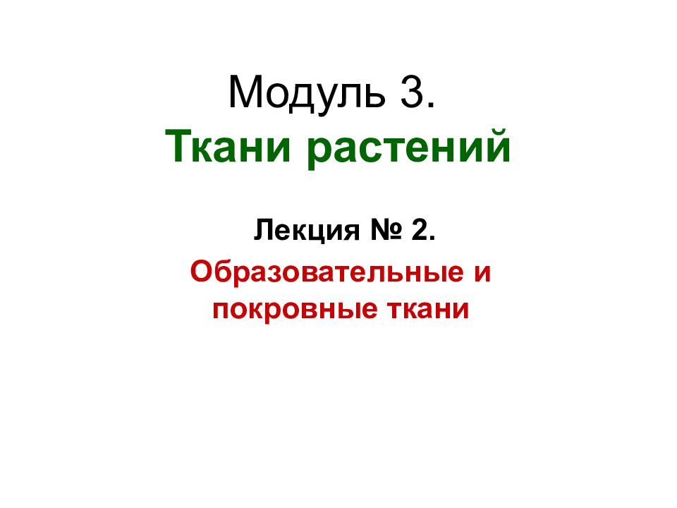 Модуль 3. Ткани растений