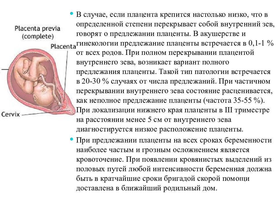 Плацента от зева норма по неделям. Плацента перекрывает внутренний зев. Плацента высоко от внутреннего зева. Расположение плаценты при беременности. Расположение плаценты при беременности норма.