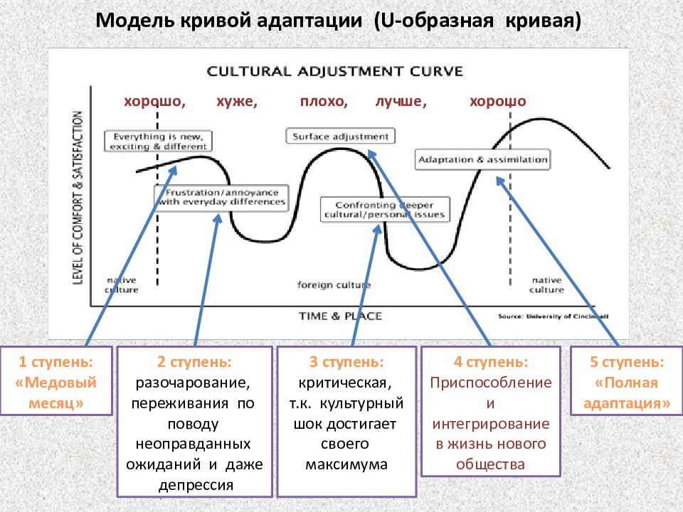 Этап отражен. Кривая адаптации u-образная кривая. U образная кривая культурного шока. U-образную кривую развития культурного шока. Кривая процесса адаптации.