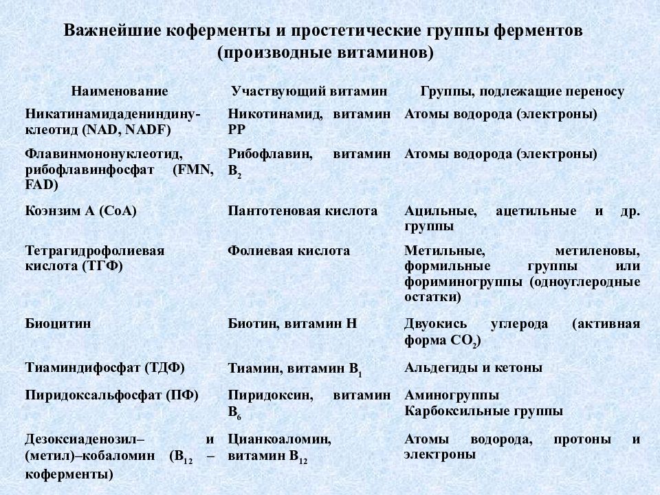 Ферменты презентация 10 класс