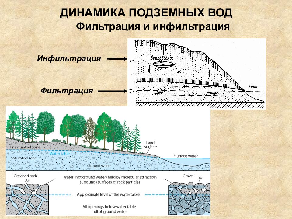 Выполните схематический рисунок образование подземных вод подпишите на вашем рисунке грунтовые воды