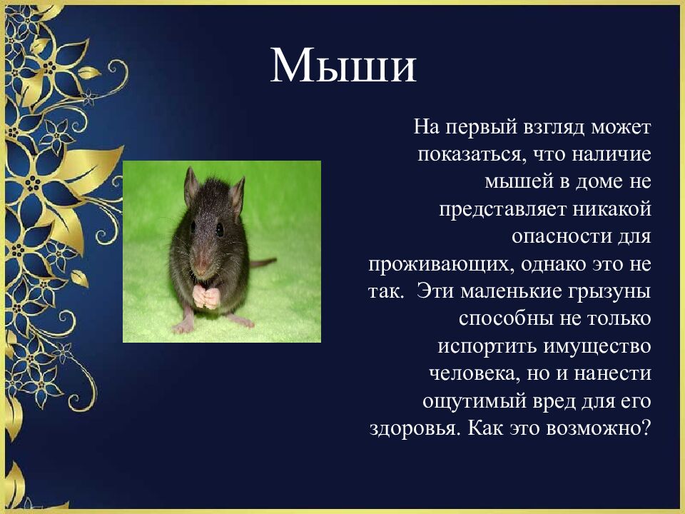 Домашние вредители