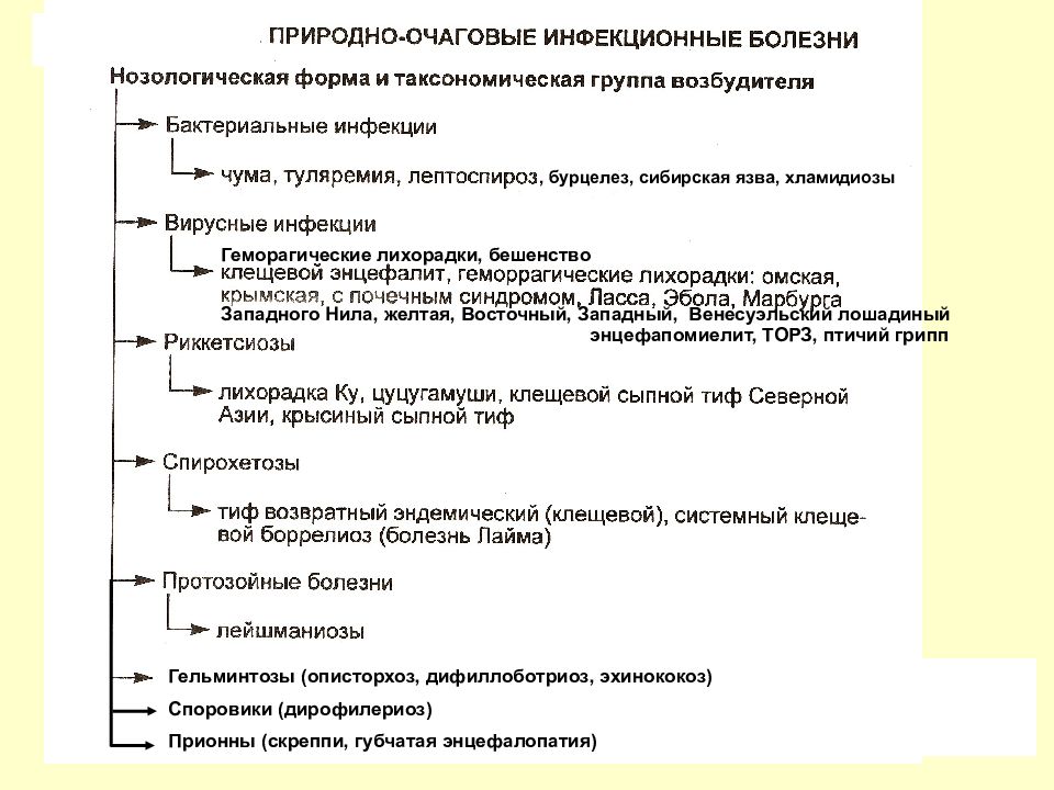 Природно очаговые заболевания презентация