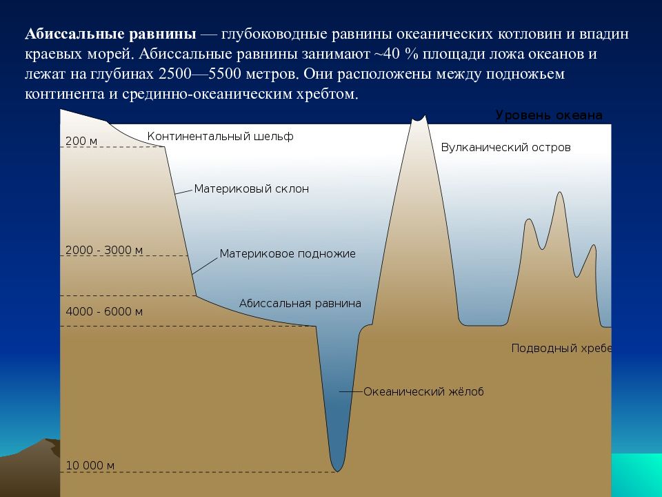 Происхождение котловины глубина устойчивость и подвижность дна. Абиссальная зона мирового океана. Абиссальная равнина. Глубоководные абиссальные равнины. Абиссальные равнины равнины.