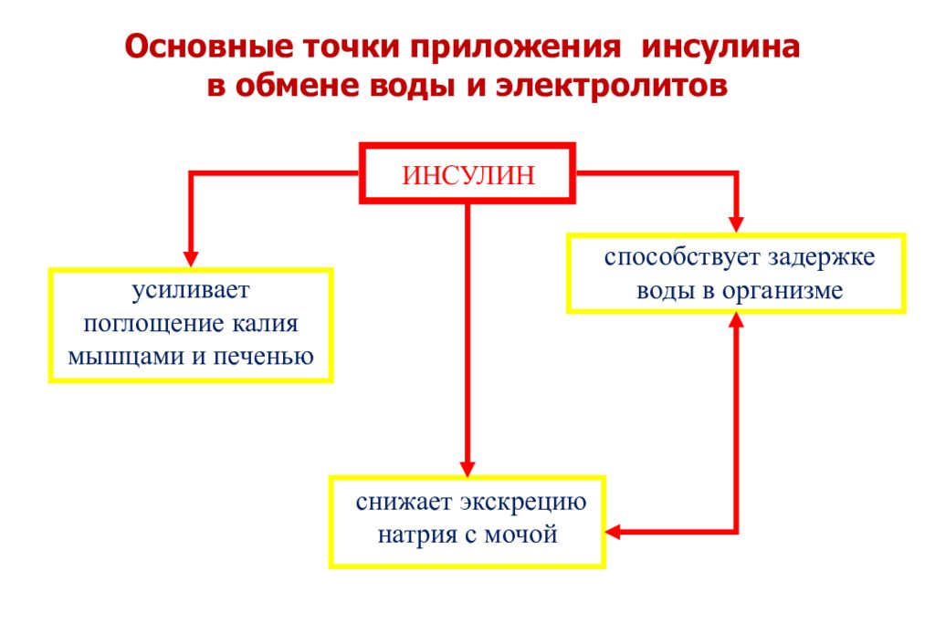 Монастырский нарушение углеводного обмена. Патофизиология углеводного обмена. наследственные нарушения углеводного обмена патофизиология. углеводный обмен при сахарном диабете. нарушение углеводного обмена лечение у мужчин.