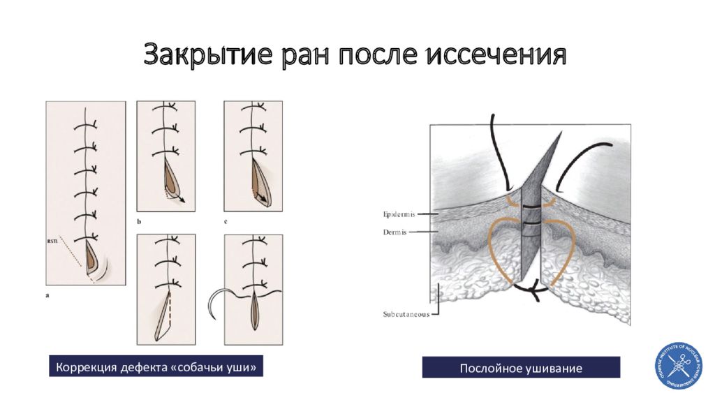 Пластическая хирургия презентация