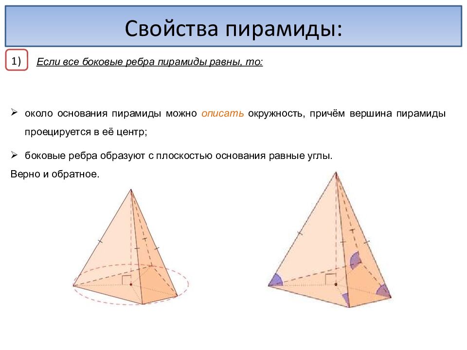 Пирамида. Когтев Миша