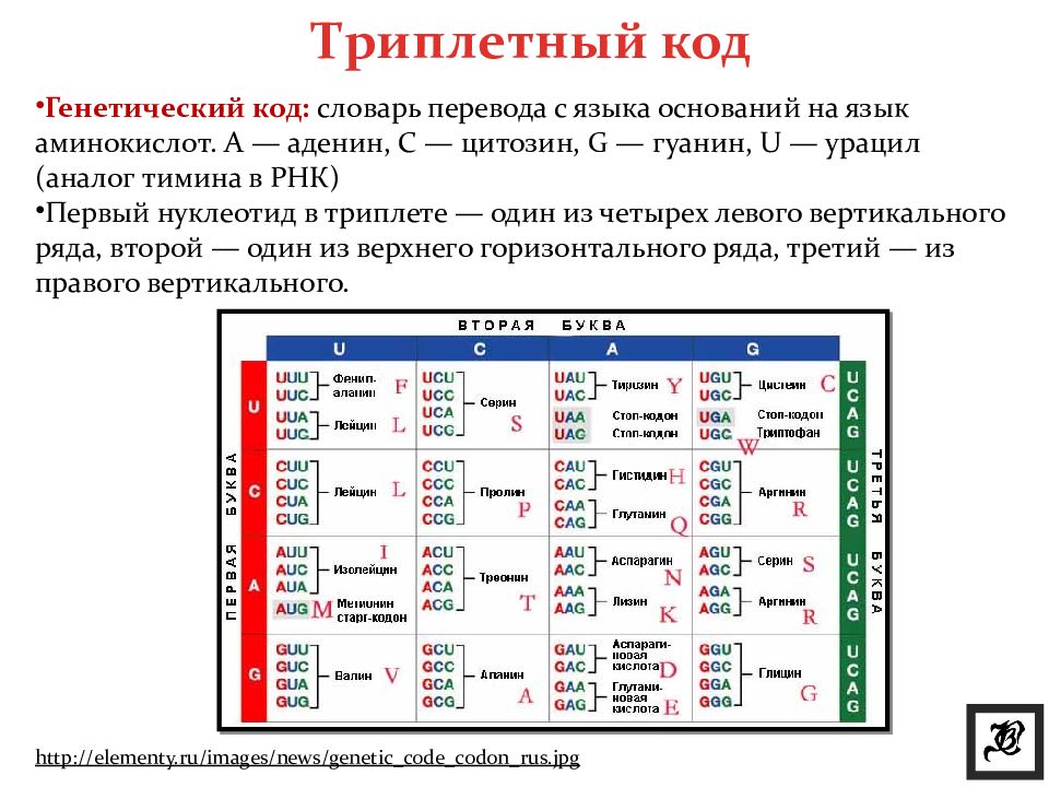 Генетический код это. Триплетность генетического кода. Генетический код аденин гуанин. Кодовый словарь генетика. Таблицатриплетного кода.