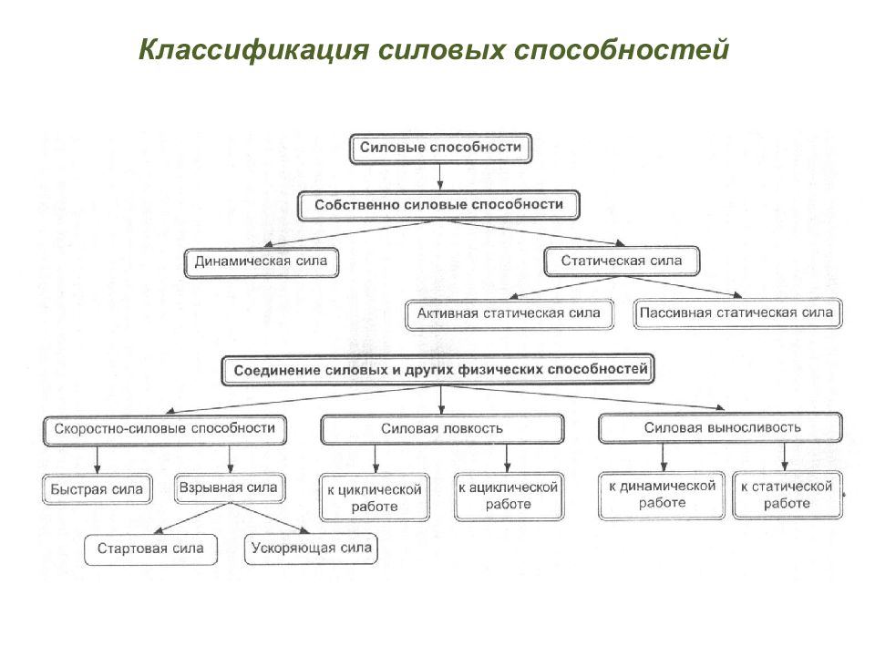 Сила силовые способности